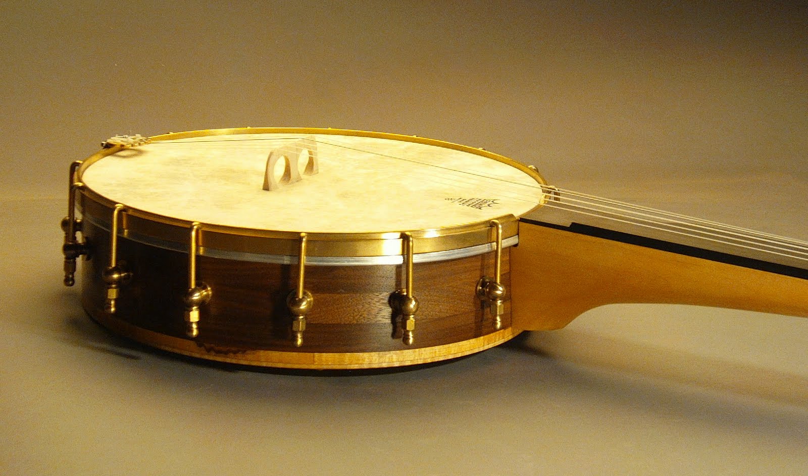 Банджо Музыкальный Инструмент Фото